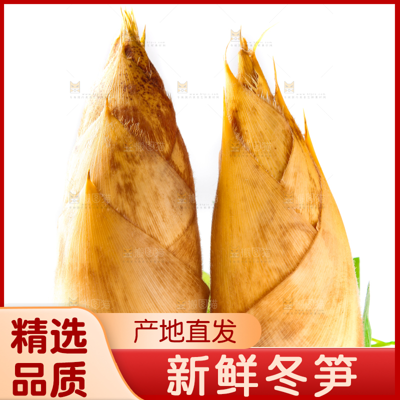 白底上摆放着冬笋