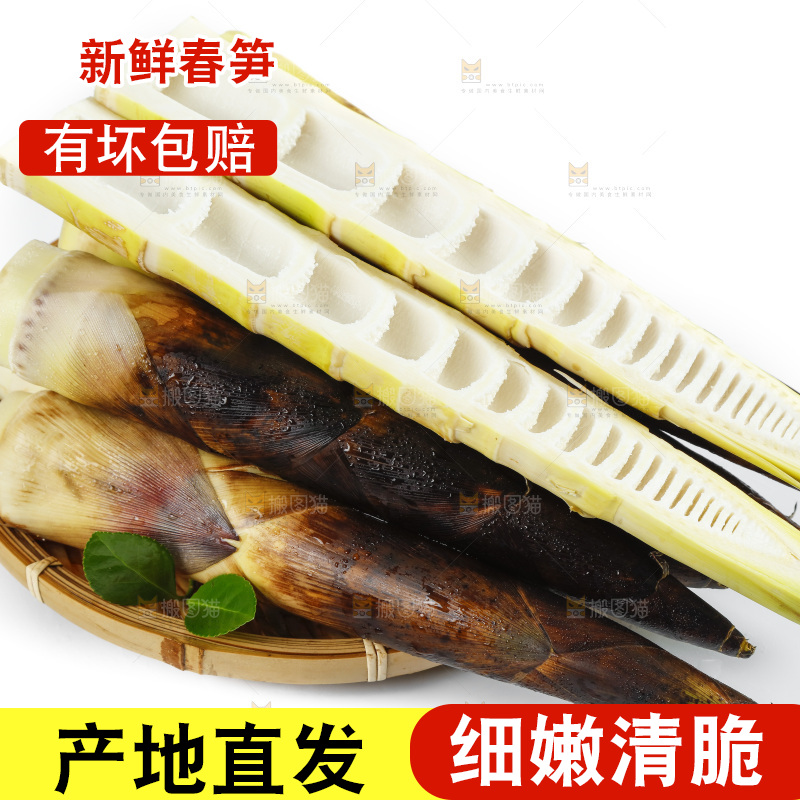 白底上放着一筐天幕山春笋