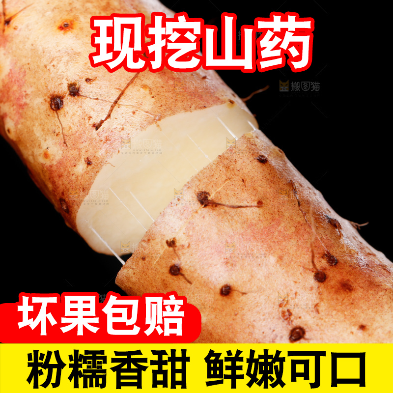 手里拿着小白嘴山药