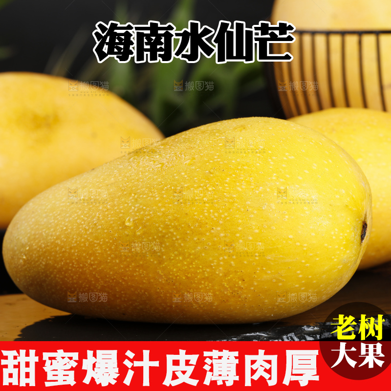 黑石板上放着新鲜的水仙芒