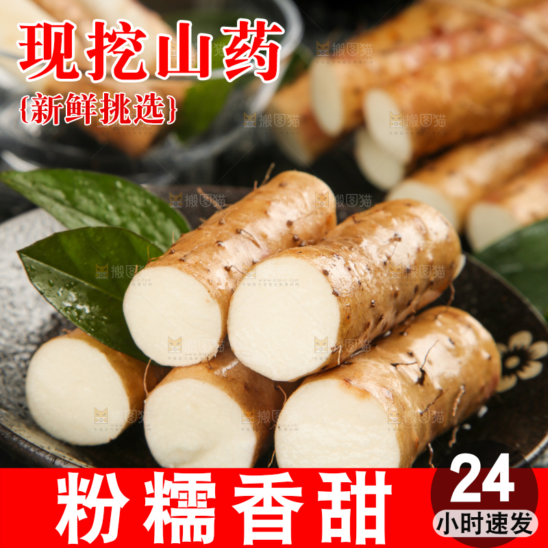 深底上的小白嘴山药