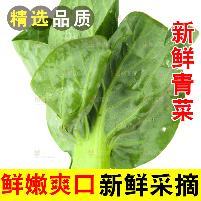 手里拿着小青菜