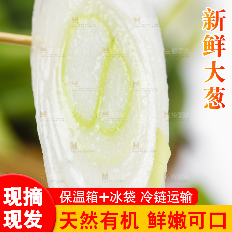 切开的新鲜大葱