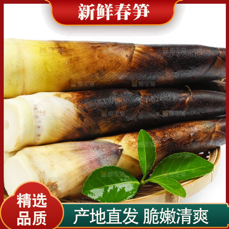 白底上放着一筐天幕山春笋