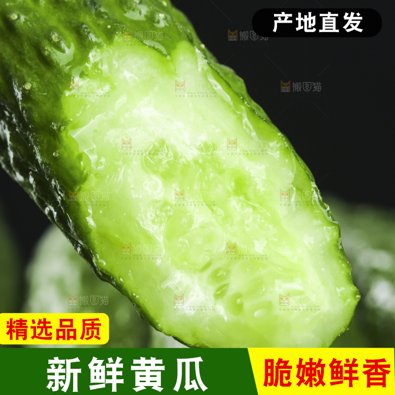 深底上放着切开的新鲜青黄瓜