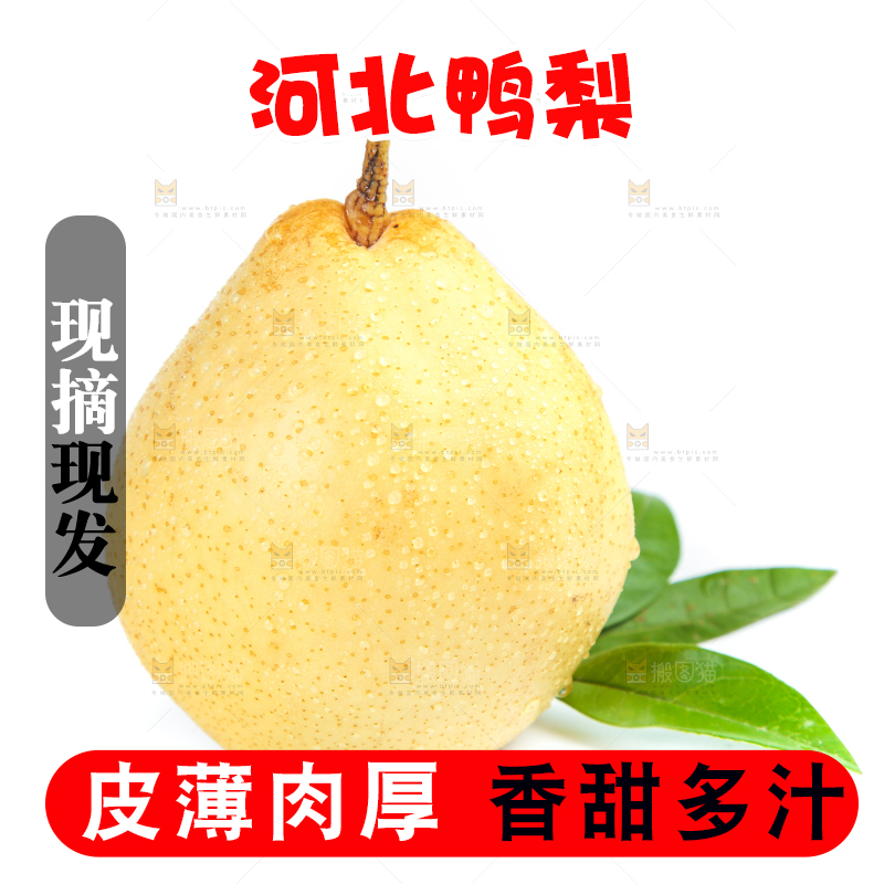 白底上摆放着鸭嘴梨