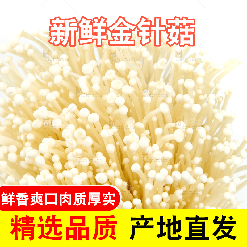 白底上的金针菇