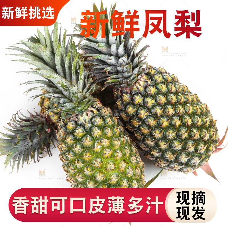 白底上的新鲜凤梨