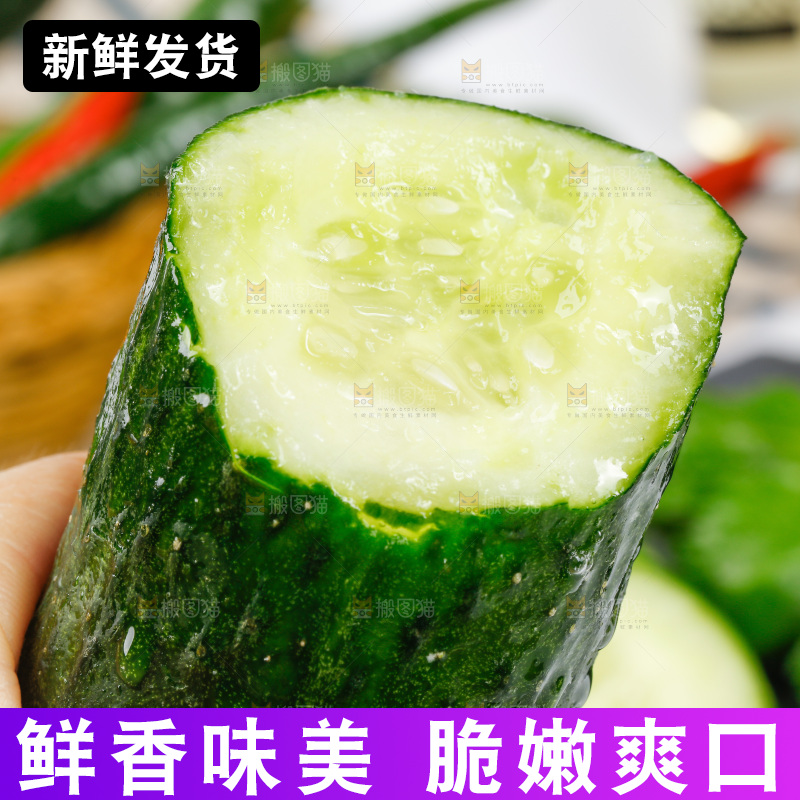 白底上放着黄瓜