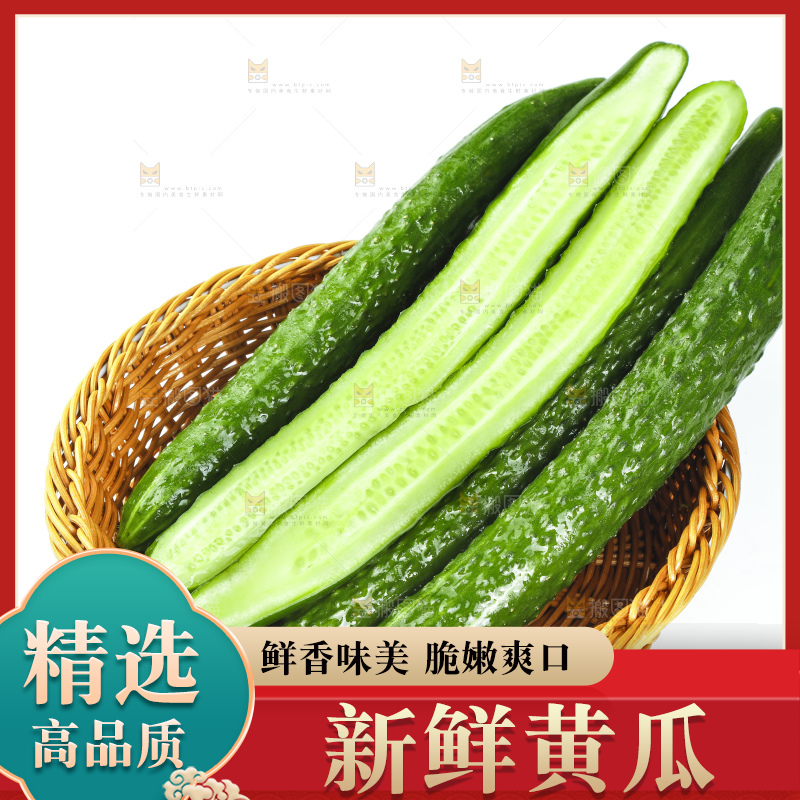 白底上的新鲜青瓜