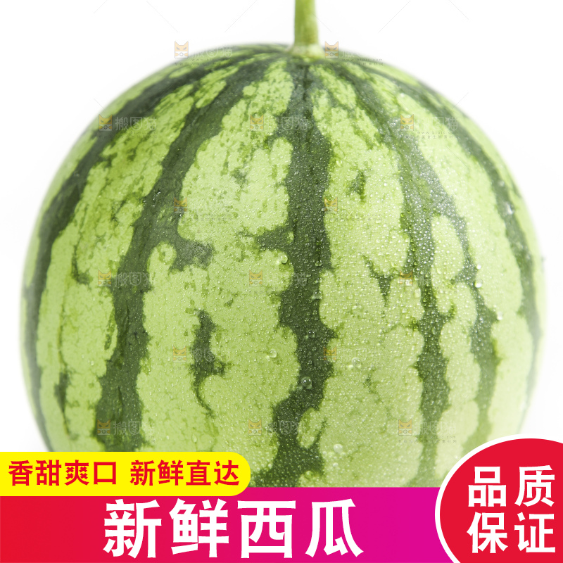 白底上放着新鲜西瓜