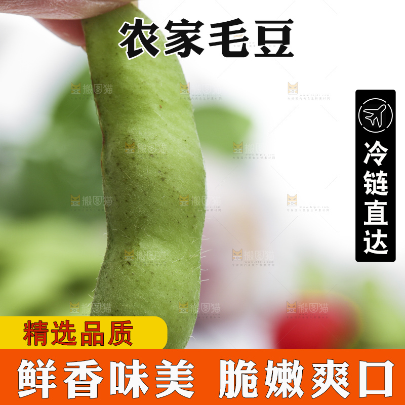 手拿新鲜毛豆