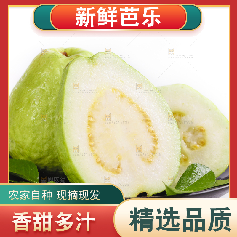 白底上一盘芭乐
