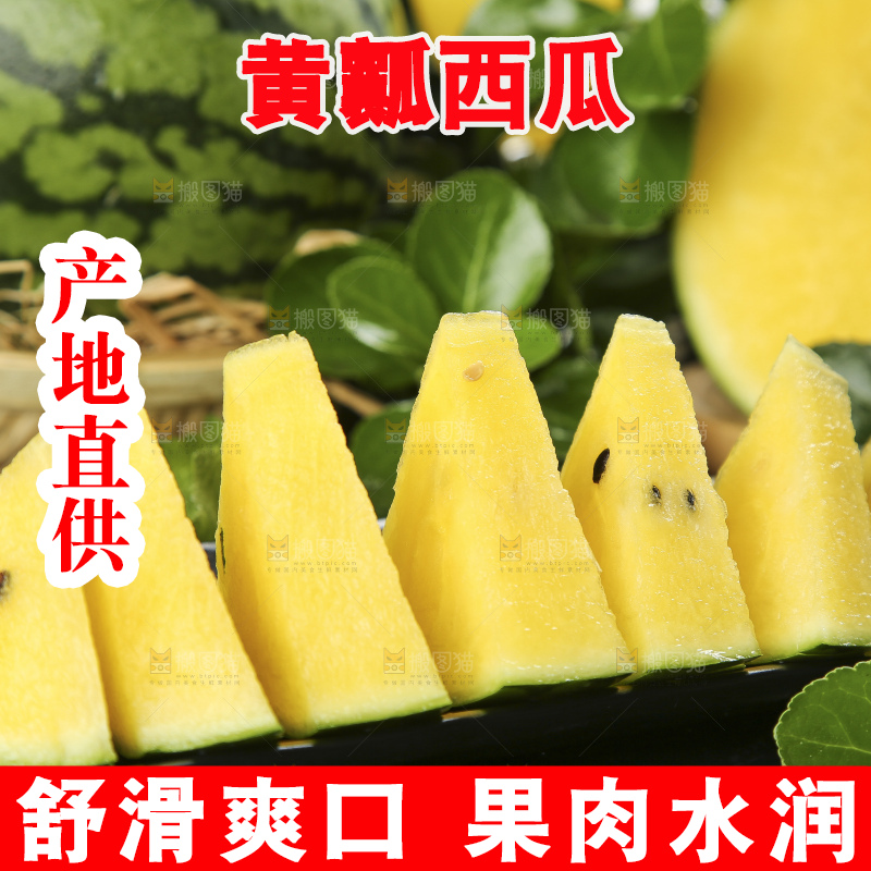 深底上放着切开的海南特小凤西瓜
