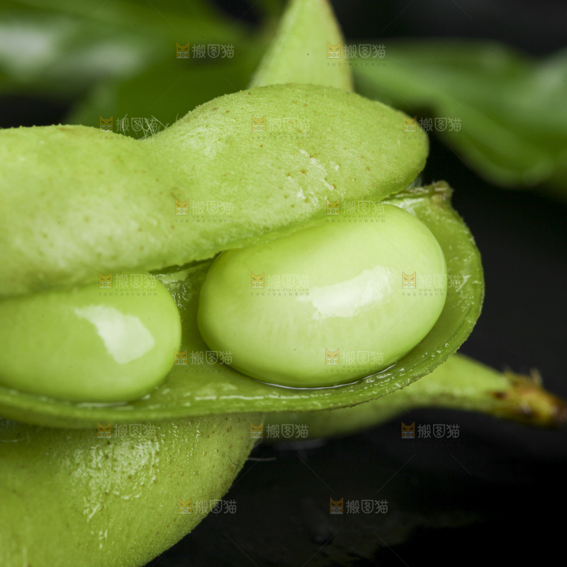 深底上放着云南毛豆