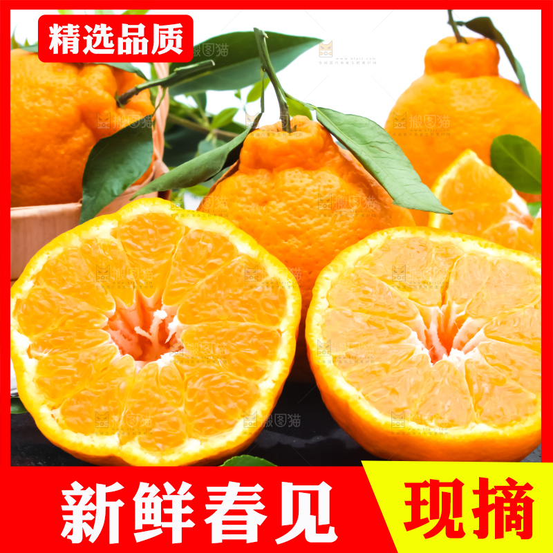 黑石板上放着切开的四川春见柑桔