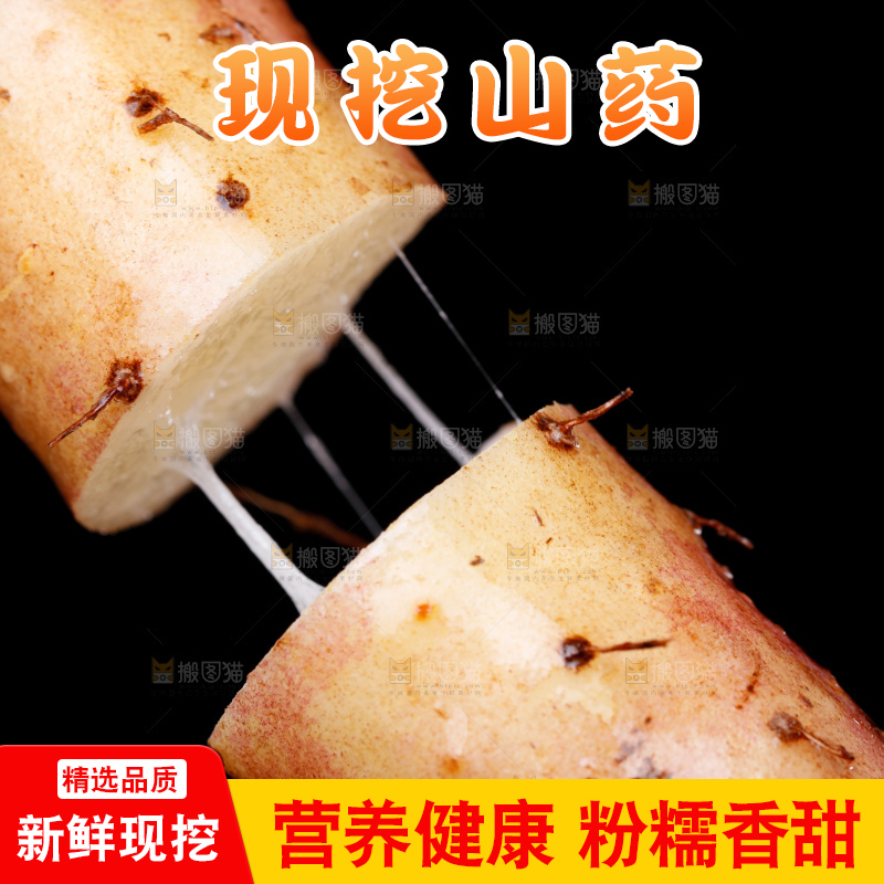 手里拿着小白嘴山药