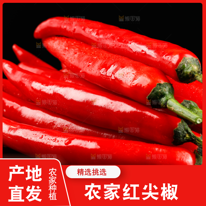 黑底上放着辣椒
