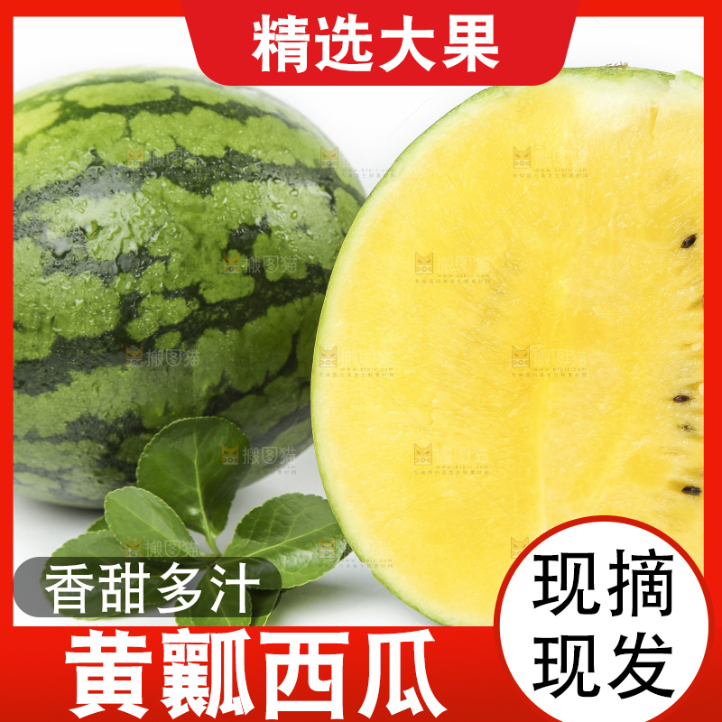 海南新鲜特小凤黄肉西瓜放在白底上