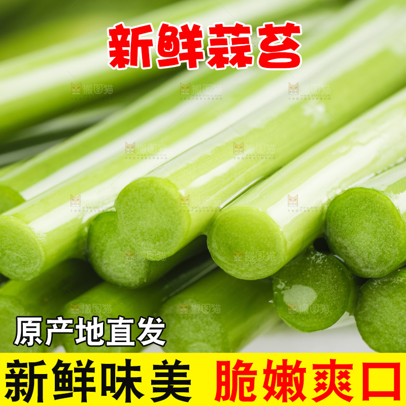 格子底上摆放着蒜豪