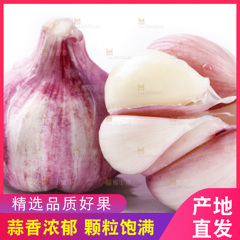 白底上放着新鲜紫皮大蒜头