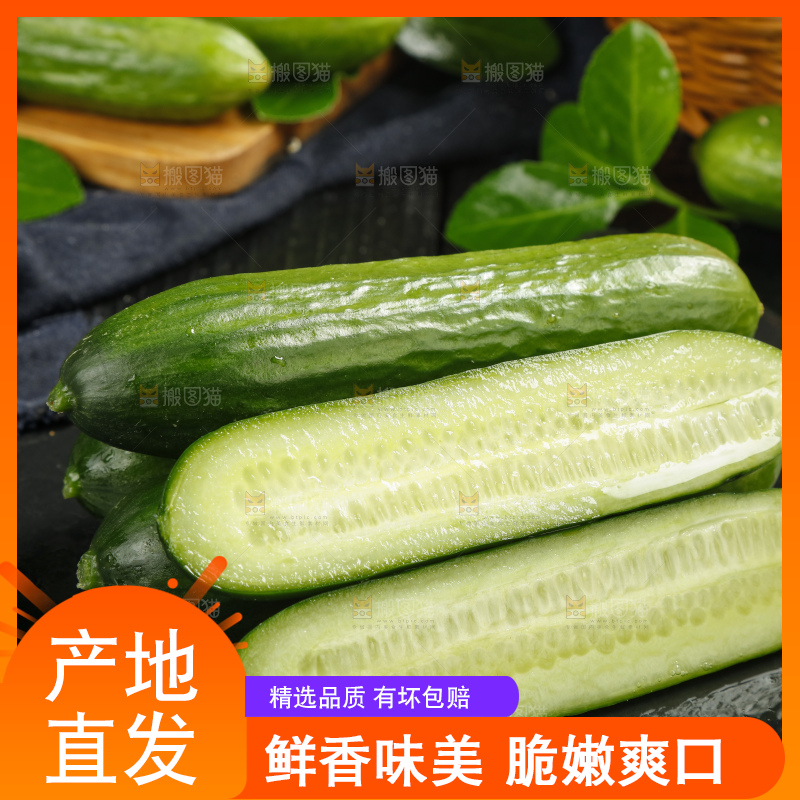 石板上放着东北新鲜水果黄瓜