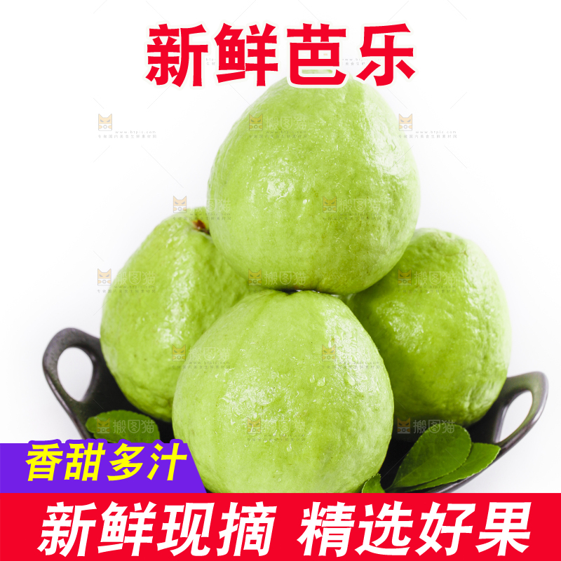白底上一盘芭乐