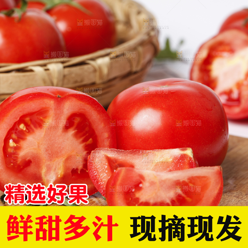 木底上放着山东新鲜西红柿