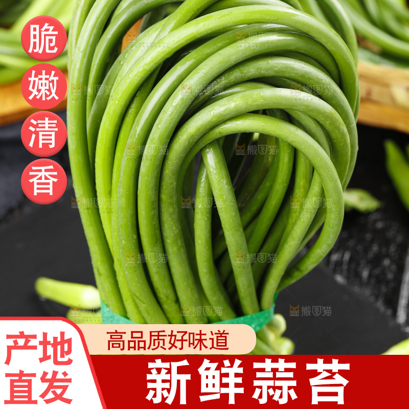 黑石板上放着一把蒜苔