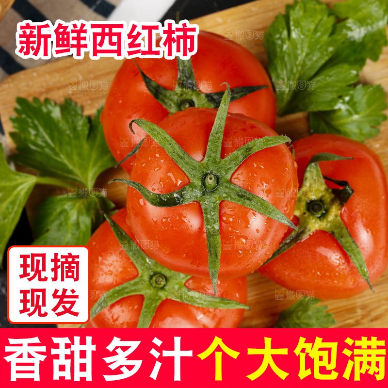 木底上堆放的西红柿