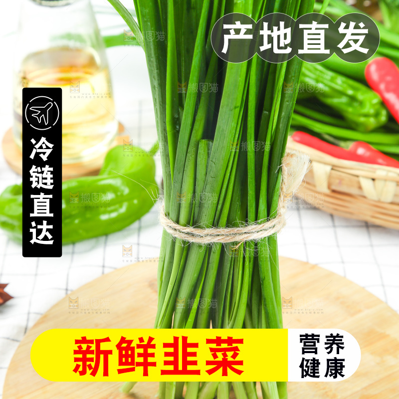 格子底上的鲜嫩韭菜
