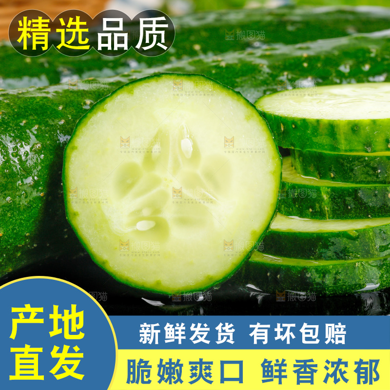 白底上放着黄瓜