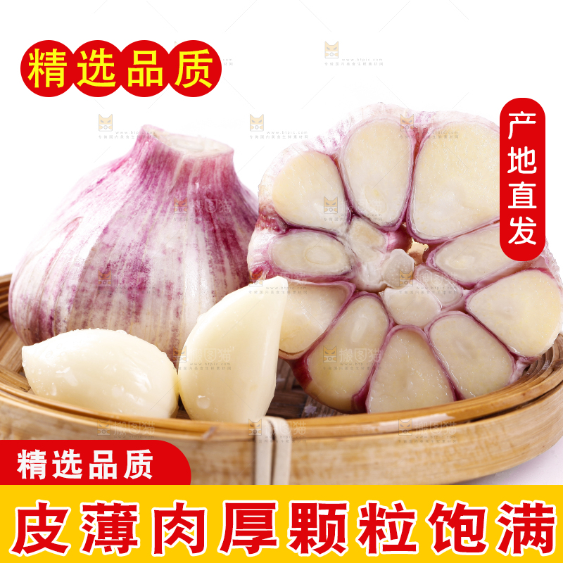 一筐云南新鲜紫皮大蒜放在白底上