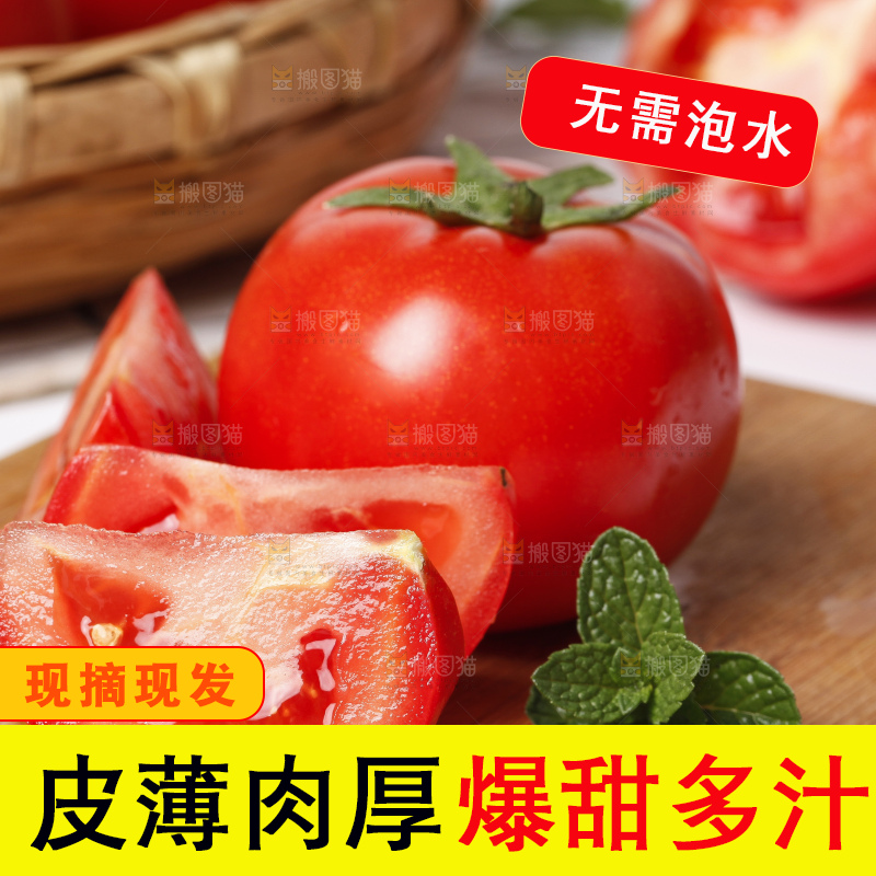 木底上放着山东新鲜西红柿