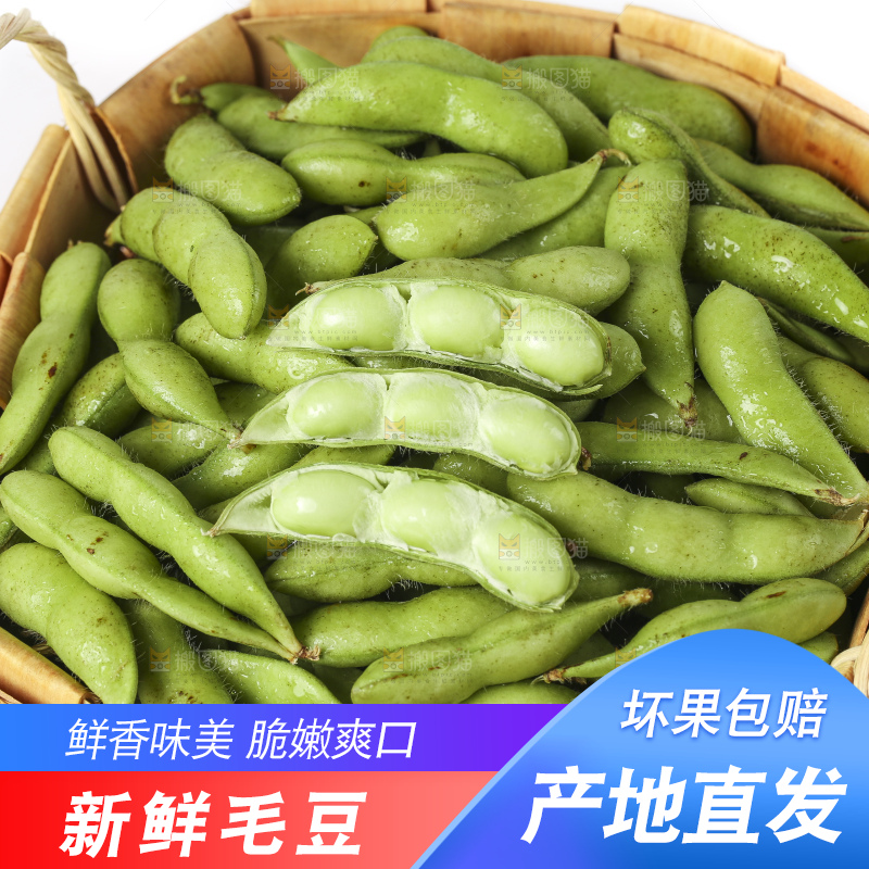 白底上放着一筐新鲜毛豆