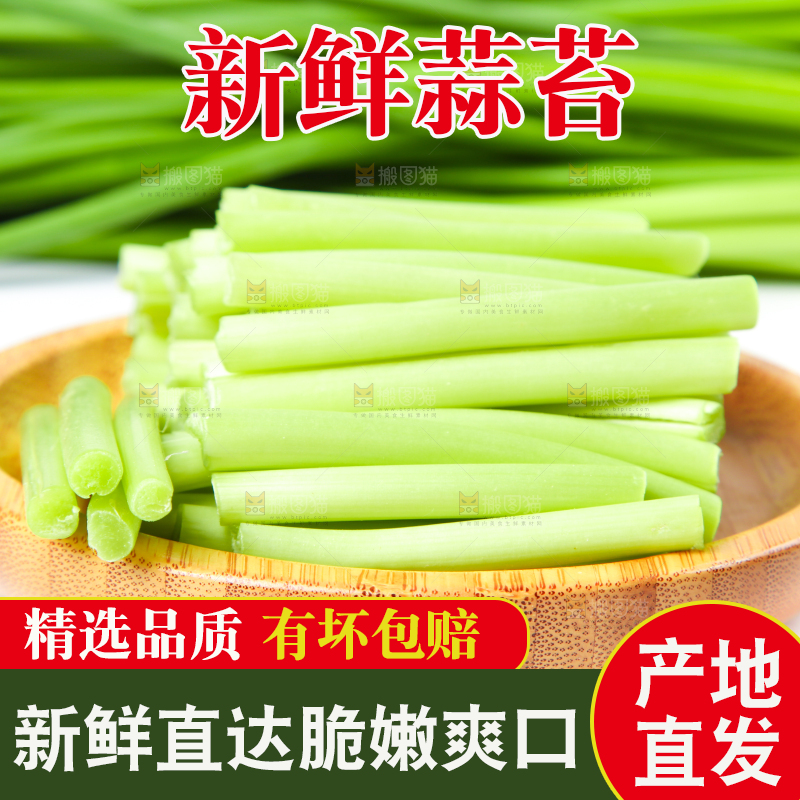 一盘切开的山东蒜苔放在白底上