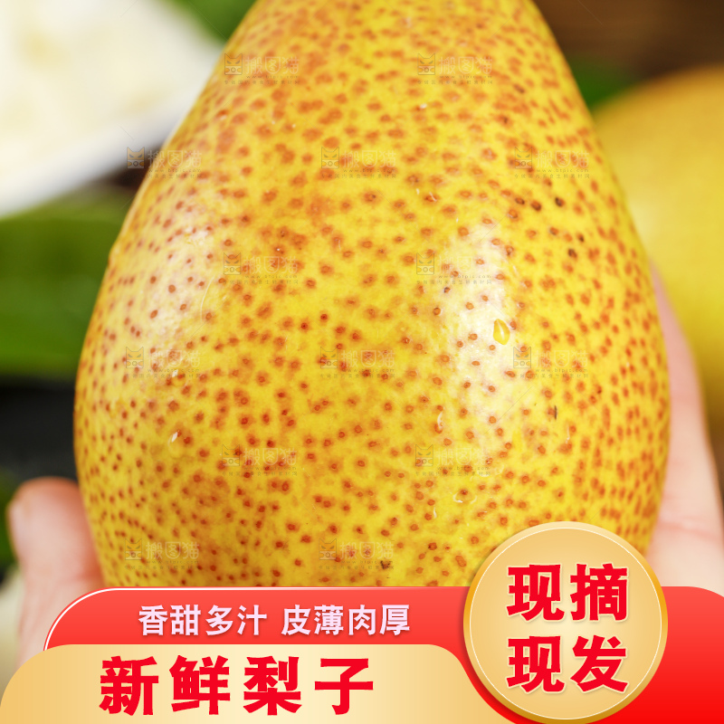 手拿新鲜红香酥梨