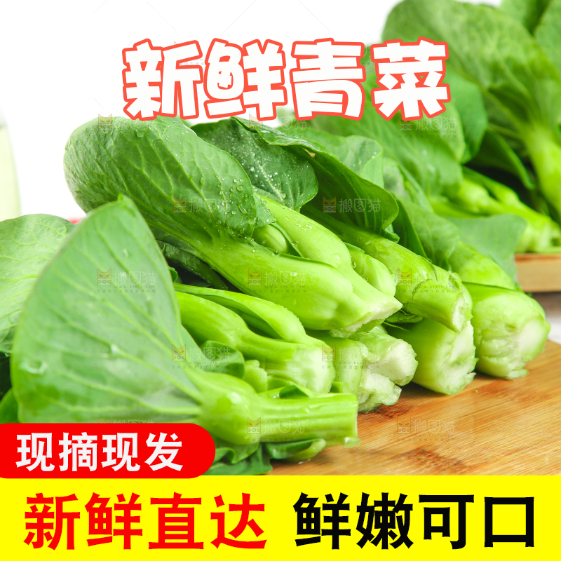 格子底上放着农家青菜