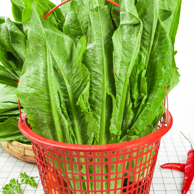 格子底上放着油麦菜