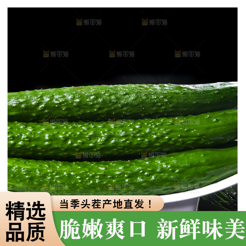 一盘新鲜土黄瓜放在黑底上