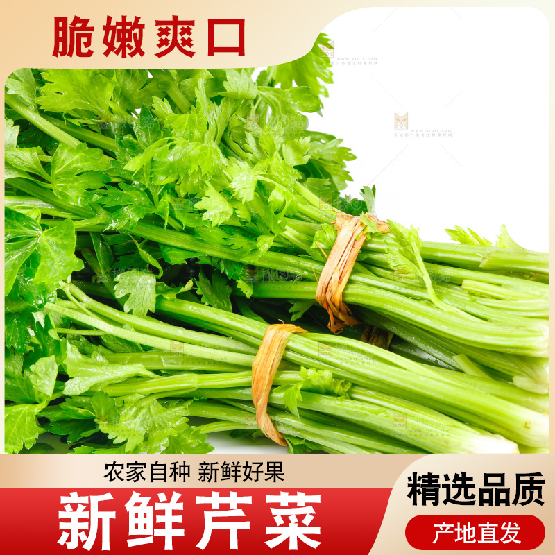 白底上放着芹菜