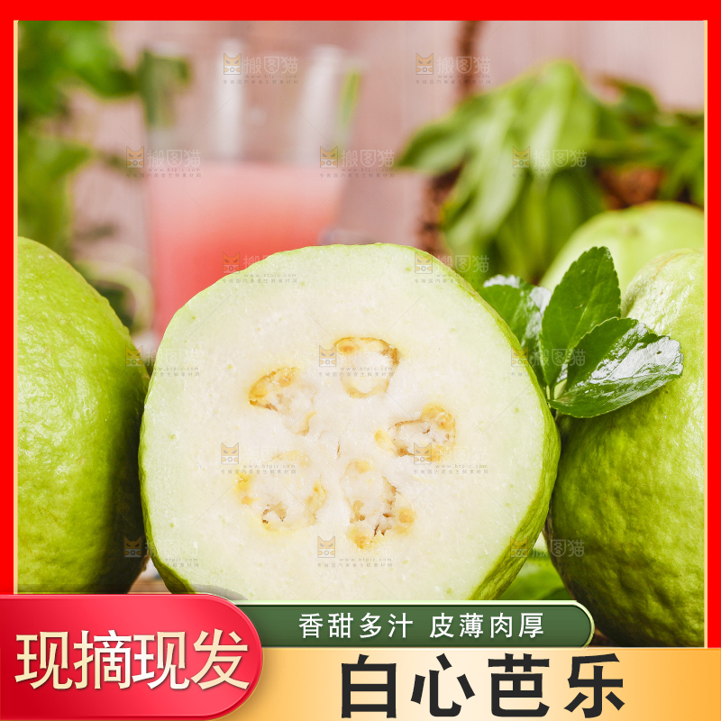 竹底上的白心番石榴