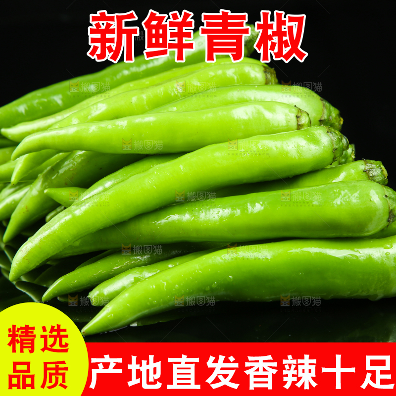 黑底上放着青尖椒