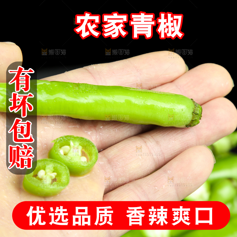 黑底上放着青尖椒