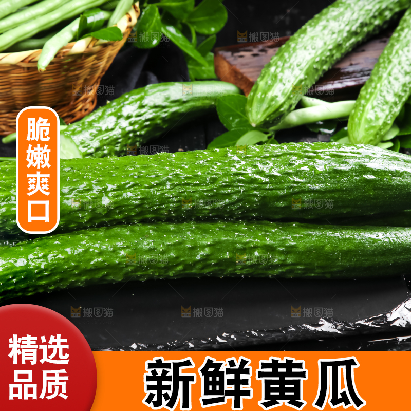 黑底上的新鲜青黄瓜