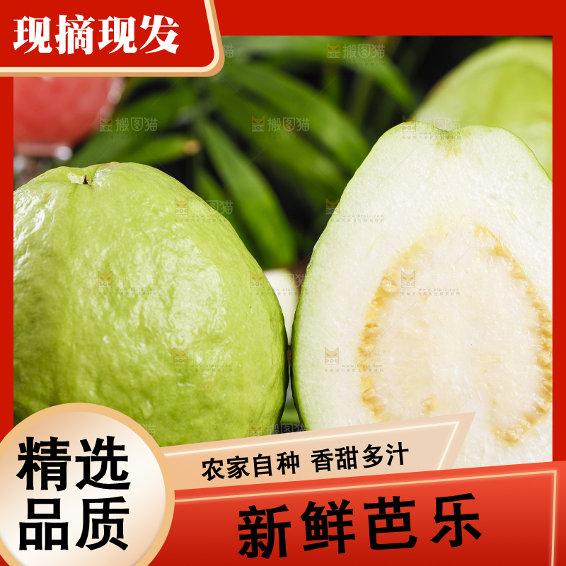 黑底上的番石榴