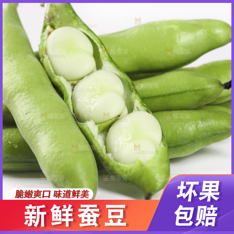 白底上放着新鲜蚕豆