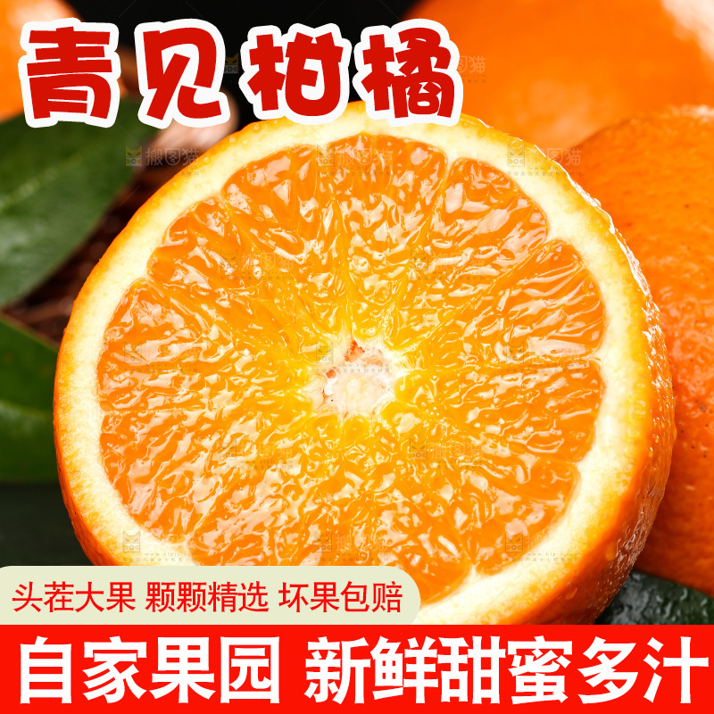 黑石板上摆放着青见柑橘