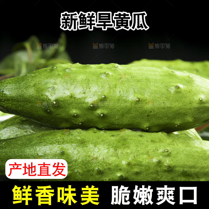 黑石板上的新鲜旱黄瓜