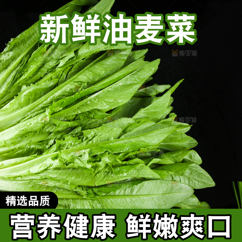 黑底上的油麦菜